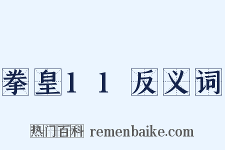 拳皇11反义词是什么意思的图片